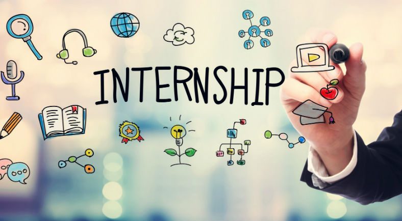 Summer Internship Glimps